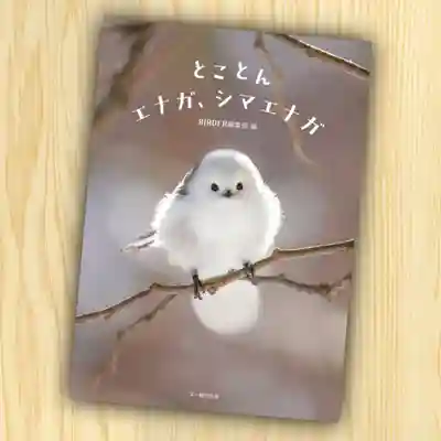 帯廣神社の授与品その他