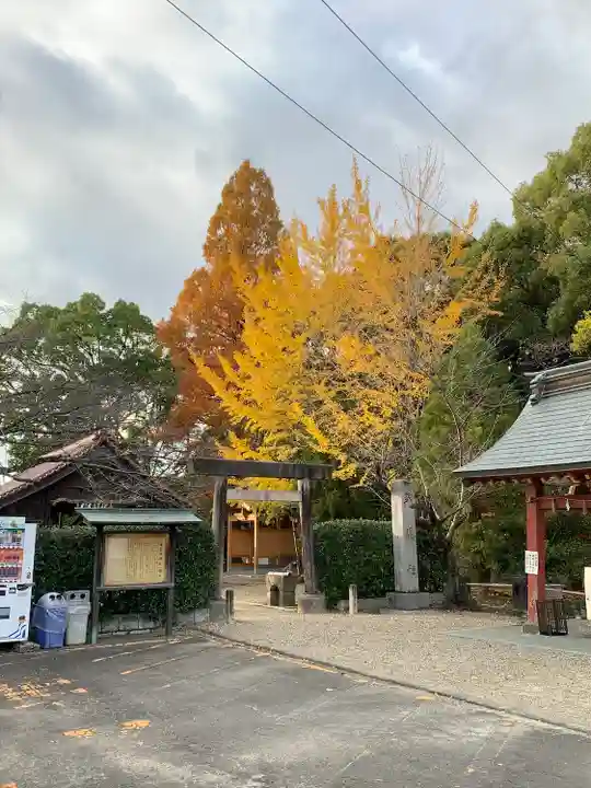 津島神社(愛知県)