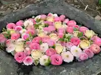 発寒神社(北海道)