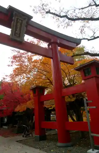 彌彦神社　(伊夜日子神社)の鳥居