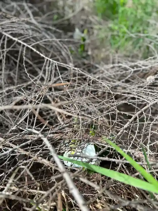 🌸乙部八幡神社(北海道)