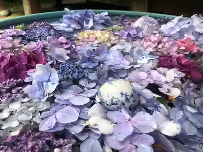 岩船寺の手水舎