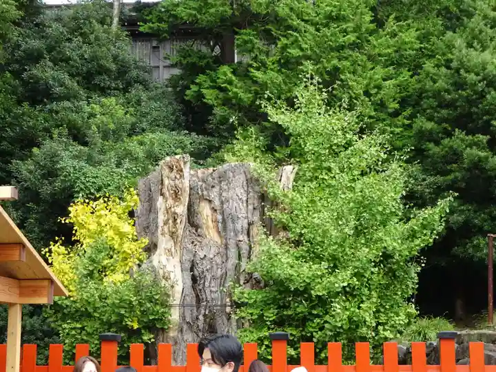 鶴岡八幡宮の自然