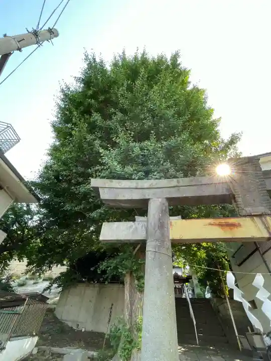 八杉神社(神奈川県)