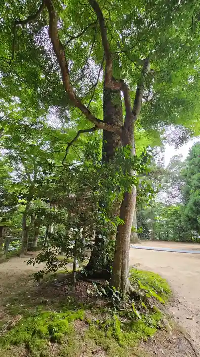 玉作湯神社(島根県)