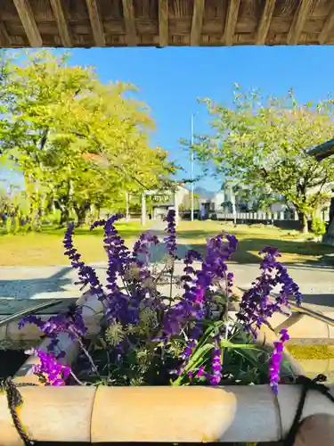 守りの神　藤基神社の手水舎