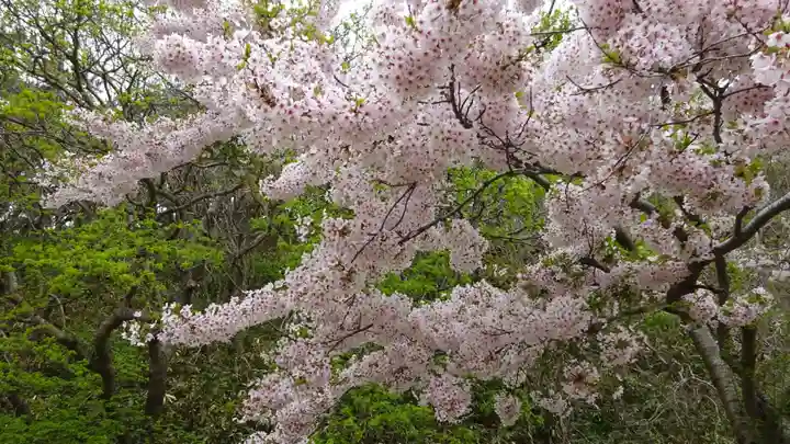 高山稲荷神社(青森県)