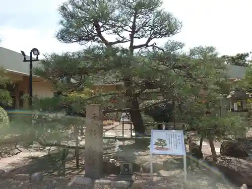 和田神社の庭園