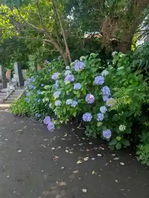 教恩寺(神奈川県)