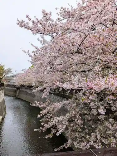 東光寺(東京都)