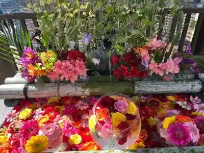豊平神社の手水舎