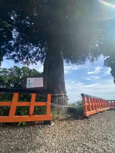 熊野那智神社(宮城県)