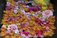 大鏑神社の手水舎