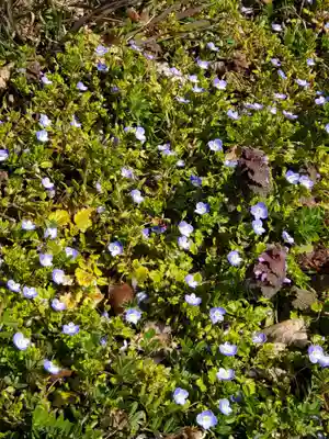 高司神社〜むすびの神の鎮まる社〜(福島県)