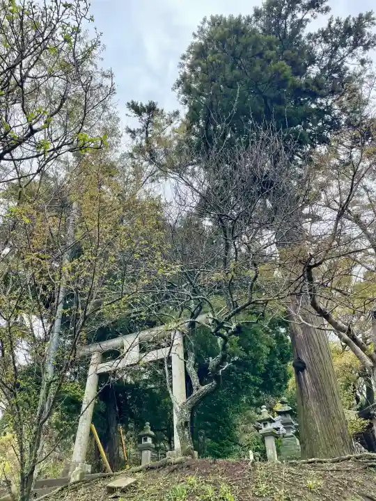 菅原神社の{uncategorized: "未分類", other: "その他", undefined: "問題あり", building: "その他建物", grave: "お墓", sacred_gate: "鳥居", guardian: "狛犬", statue: "像", buddha: "仏像", history: "歴史", nature: "自然", garden: "庭園", animal: "動物", pagoda: "塔", temizu: "手水舎", mountain_gate: "山門・神門", sanctuary: "本殿・本堂", subordinate: "末社・摂社", art: "芸術", scenery: "景色", jizo: "地蔵", ema: "絵馬", goshuin: "御朱印", omikuji: "おみくじ", items: "授与品その他", amulet: "お守り", goshuincho: "御朱印帳", eats: "食事", festival: "お祭り", votive_dance: "神楽", shichigosan: "七五三参", wedding: "結婚式", experience: "体験その他", initially: "初詣", around: "周辺", anti_infection: "感染症対策"}