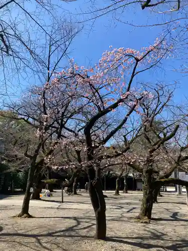 靖國神社の庭園