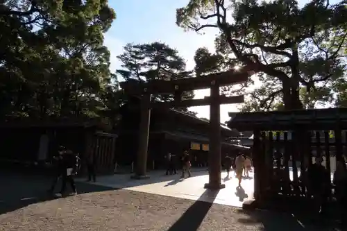 明治神宮(東京都)