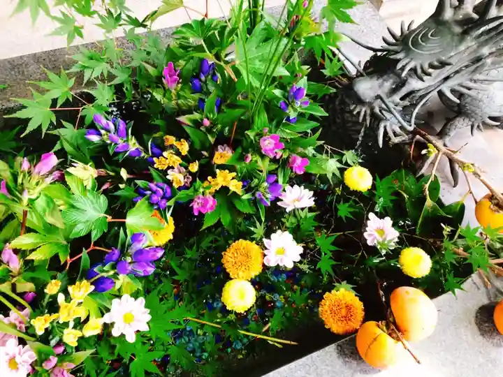 東海市熊野神社の手水舎