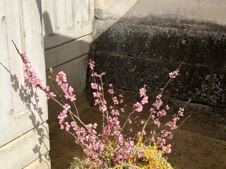 三津厳島神社の手水舎
