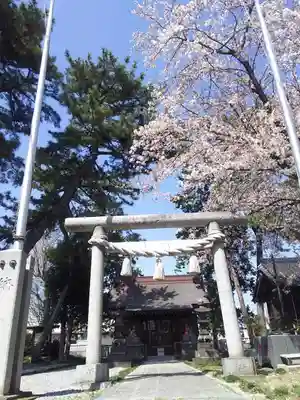 稲荷神社(弥十郎稲荷)の鳥居