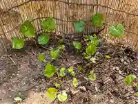 土津神社|こどもと出世の神さまの庭園