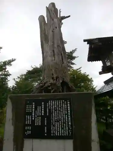 蘆別神社の自然