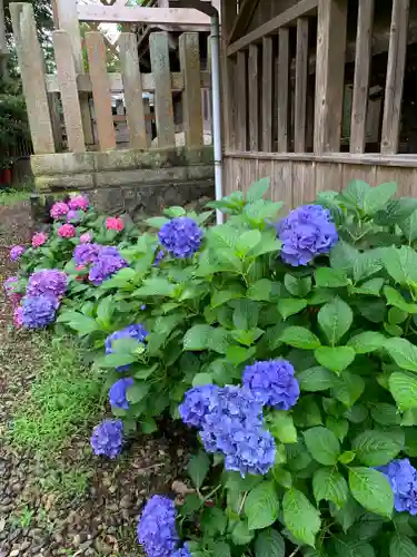 八雲神社の自然