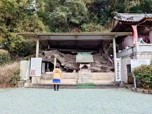 正善寺（生木地蔵）の自然