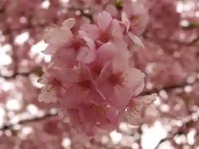 三毳不動尊の周辺