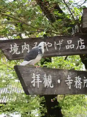 喜多院のその他建物