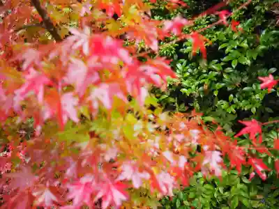 円成寺の{uncategorized: "未分類", other: "その他", undefined: "問題あり", building: "その他建物", grave: "お墓", sacred_gate: "鳥居", guardian: "狛犬", statue: "像", buddha: "仏像", history: "歴史", nature: "自然", garden: "庭園", animal: "動物", pagoda: "塔", temizu: "手水舎", mountain_gate: "山門・神門", sanctuary: "本殿・本堂", subordinate: "末社・摂社", art: "芸術", scenery: "景色", jizo: "地蔵", ema: "絵馬", goshuin: "御朱印", omikuji: "おみくじ", items: "授与品その他", amulet: "お守り", goshuincho: "御朱印帳", eats: "食事", festival: "お祭り", votive_dance: "神楽", shichigosan: "七五三参", wedding: "結婚式", experience: "体験その他", initially: "初詣", around: "周辺", anti_infection: "感染症対策"}