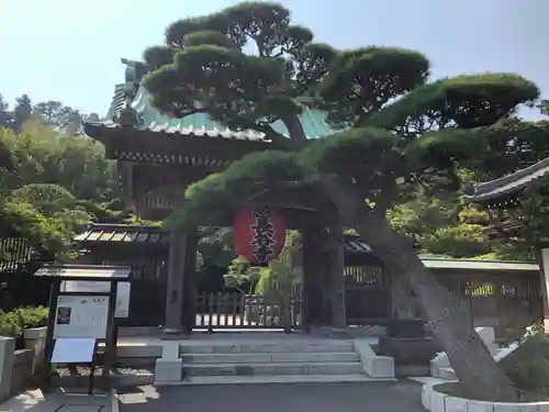 長谷寺の山門