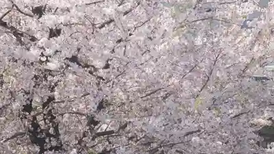 津観音(三重県)