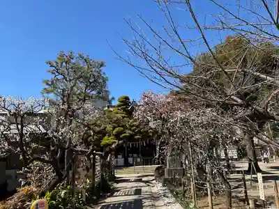 鳩森八幡神社(東京都)