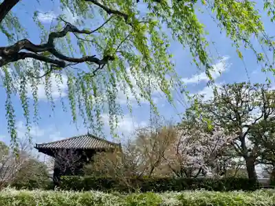 東寺（教王護国寺）(京都府)