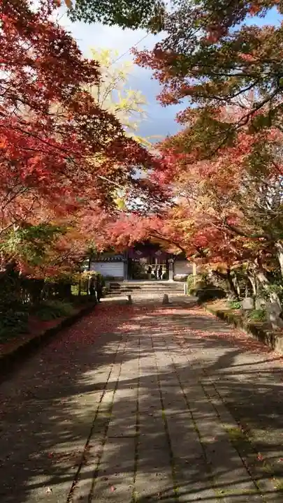 龍福寺(山口県)