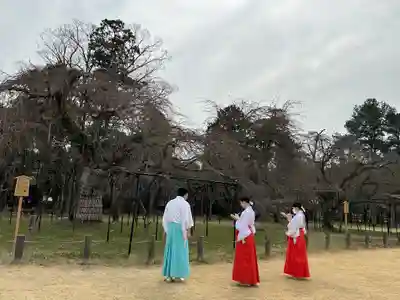 賀茂別雷神社（上賀茂神社）(京都府)