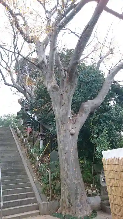 検見川神社のその他建物