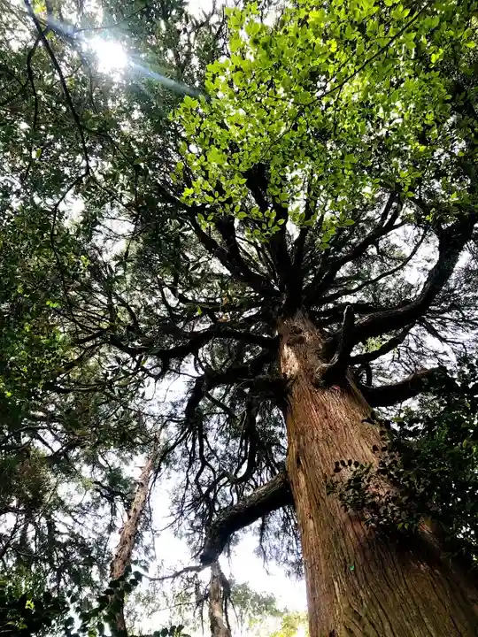 市房山神宮の自然