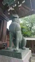 櫛田神社の狛犬