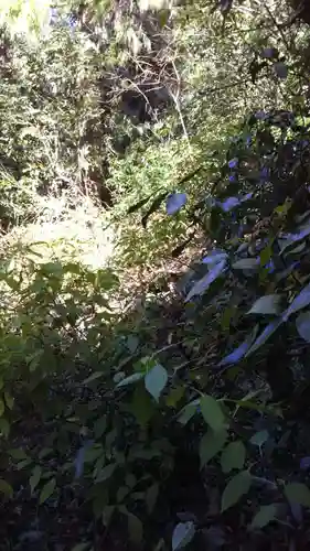 名称不明の自然