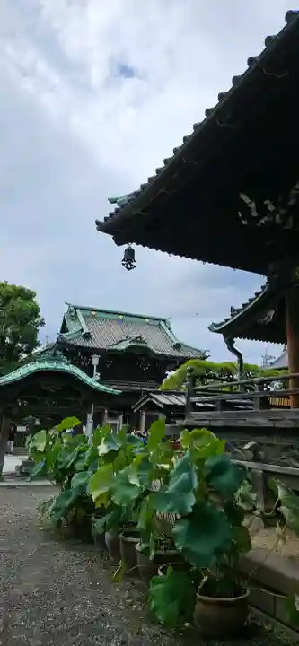 題経寺(柴又帝釈天)の{uncategorized: "未分類", other: "その他", undefined: "問題あり", building: "その他建物", grave: "お墓", sacred_gate: "鳥居", guardian: "狛犬", statue: "像", buddha: "仏像", history: "歴史", nature: "自然", garden: "庭園", animal: "動物", pagoda: "塔", temizu: "手水舎", mountain_gate: "山門・神門", sanctuary: "本殿・本堂", subordinate: "末社・摂社", art: "芸術", scenery: "景色", jizo: "地蔵", ema: "絵馬", goshuin: "御朱印", omikuji: "おみくじ", items: "授与品その他", amulet: "お守り", goshuincho: "御朱印帳", eats: "食事", festival: "お祭り", votive_dance: "神楽", shichigosan: "七五三参", wedding: "結婚式", experience: "体験その他", initially: "初詣", around: "周辺", anti_infection: "感染症対策"}
