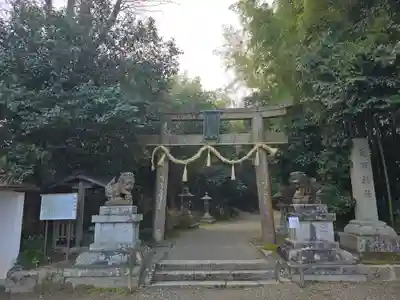 走田神社(京都府)