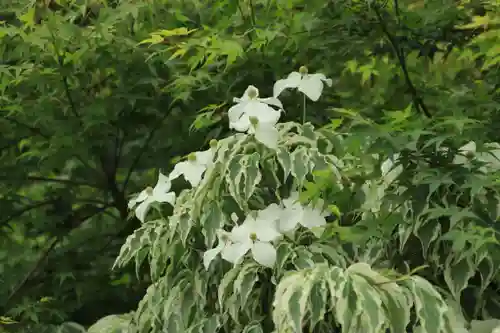 長命寺の庭園