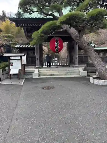 長谷寺(神奈川県)