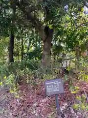 歳徳神社の自然