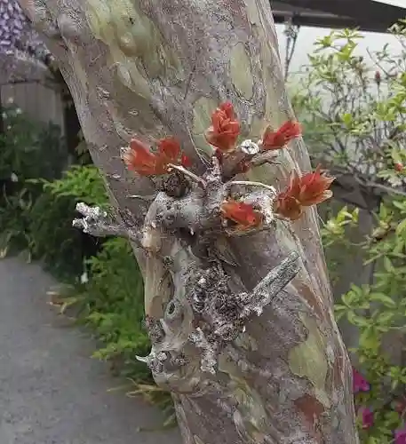 西方山極楽寺(岐阜県)