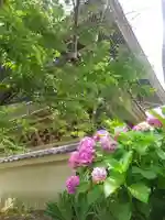 光明寺のその他建物