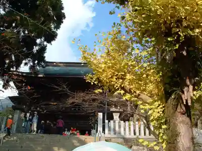 筑波山神社(茨城県)