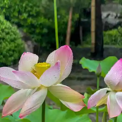 長昌寺(東京都)